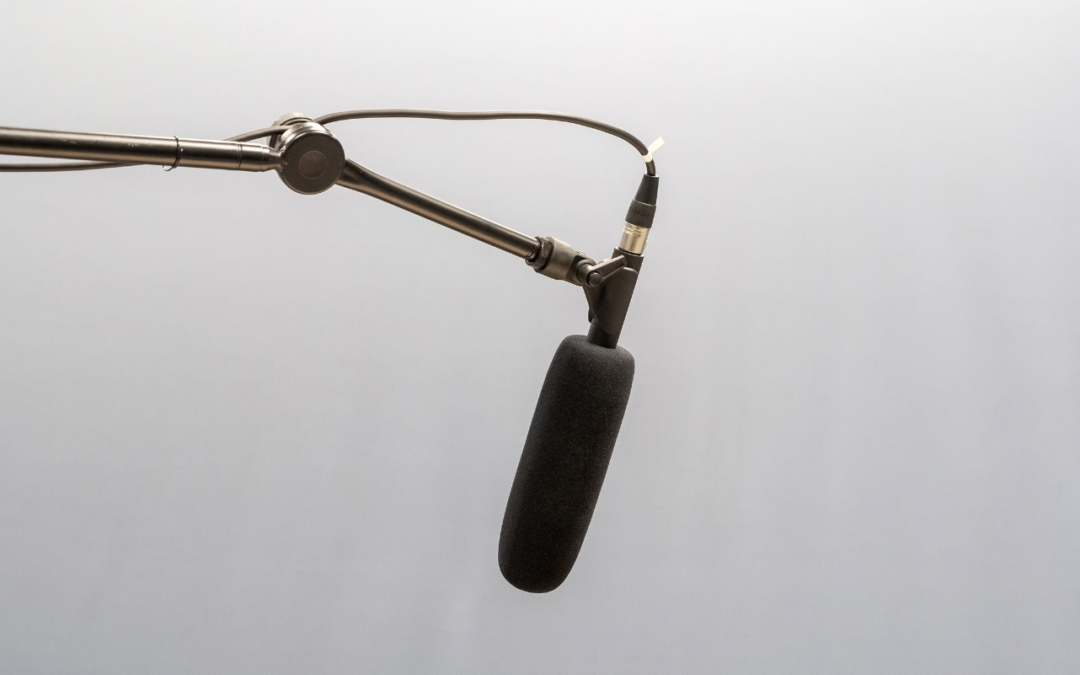 What Does Spatial-MiC Have To Do With AI In Dentistry? At Bacchus Marsh Dental House In Bacchus Marsh