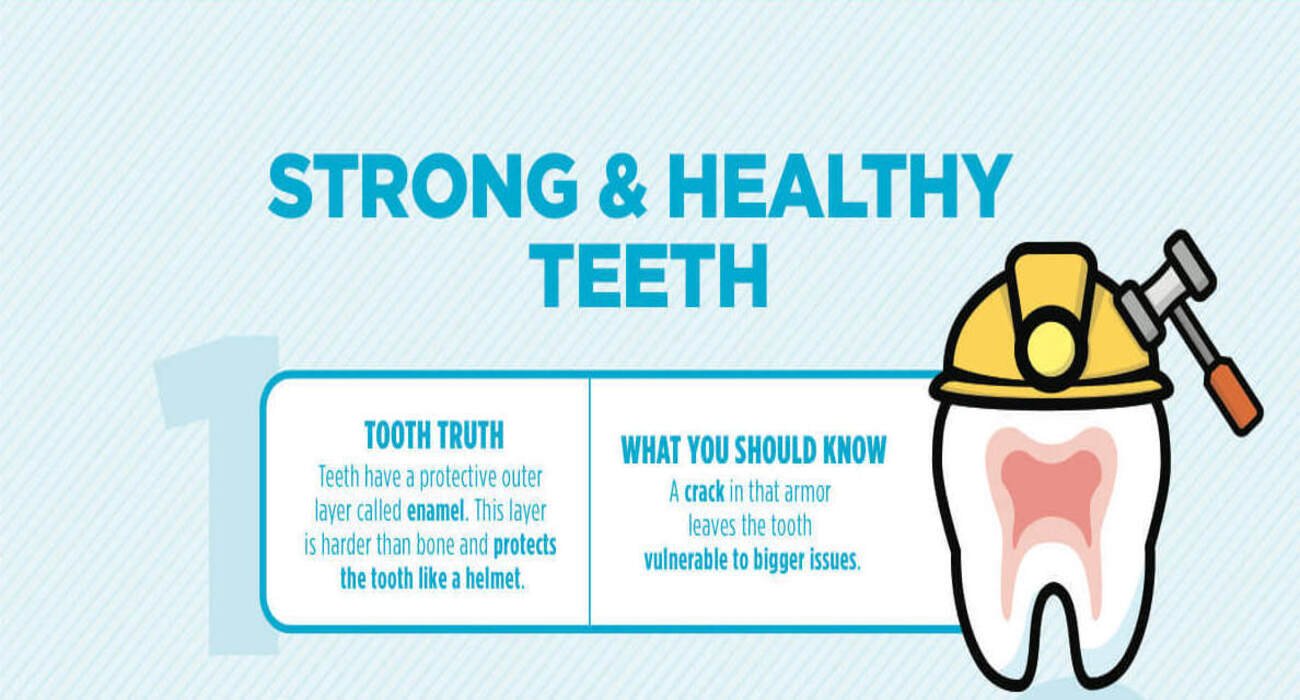 Dental House Dental Infographics