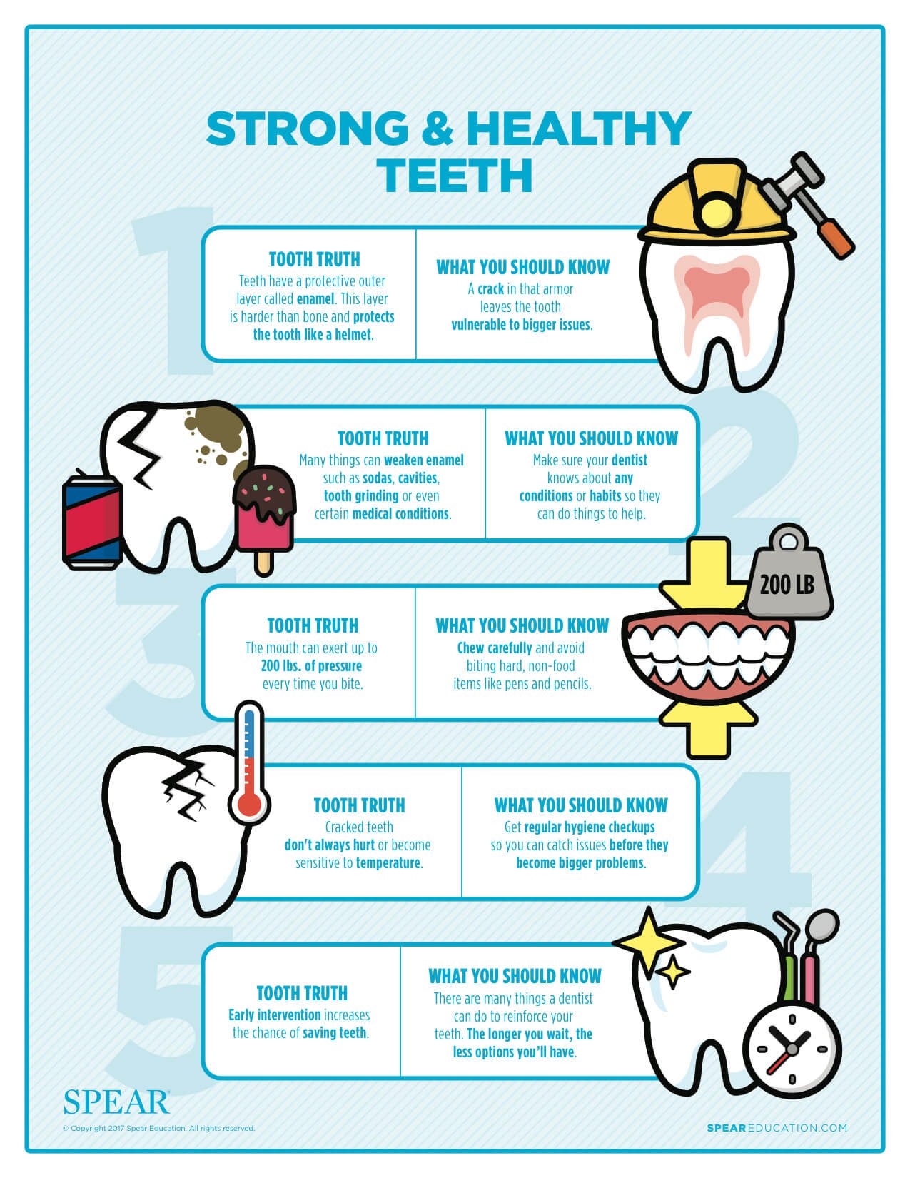 Dental House Dental Infographics StrongandHealthyTeeth